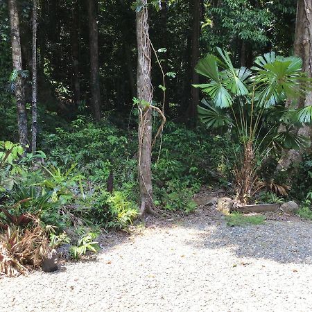Forest Views Diwan Luaran gambar