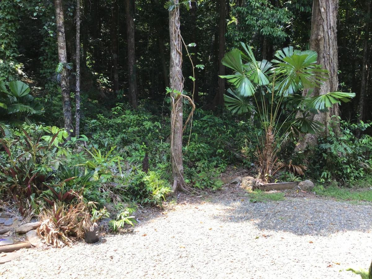 Forest Views Diwan Luaran gambar